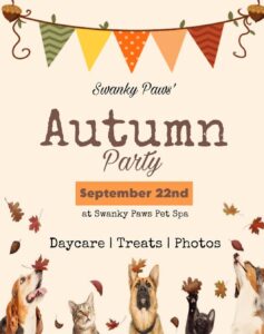 Cute Pets look at leaves falling Autumn Party Sept 22